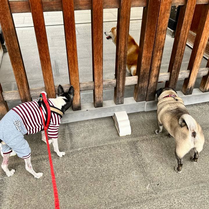 55559e7f 41c1 4b80 b66c 23defb703e51 1650715123237