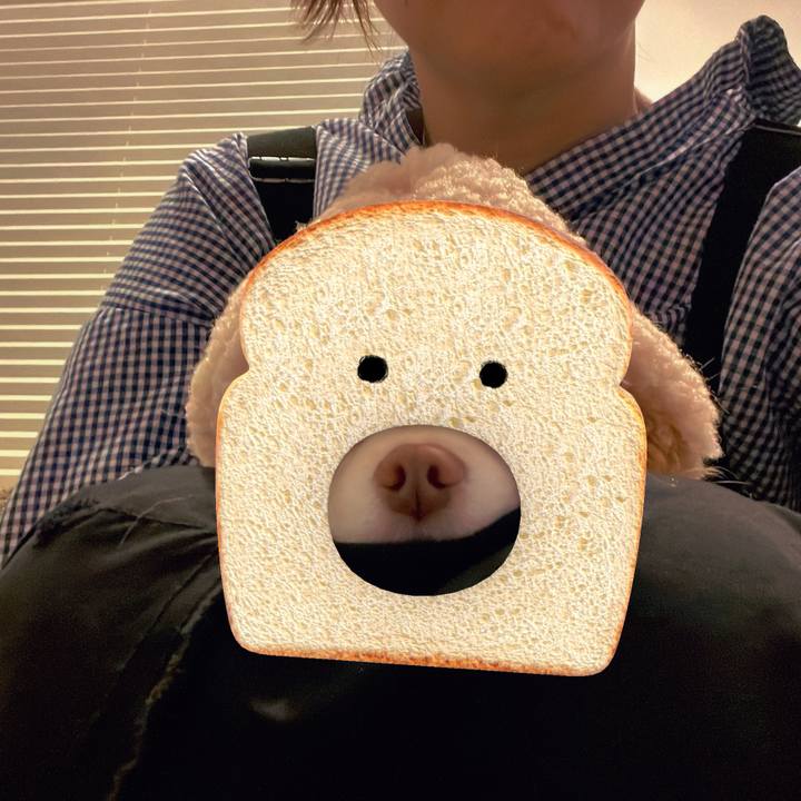 5555b8e9 05fc 4999 bf5d 9cdaad8e33ec 1698746794668