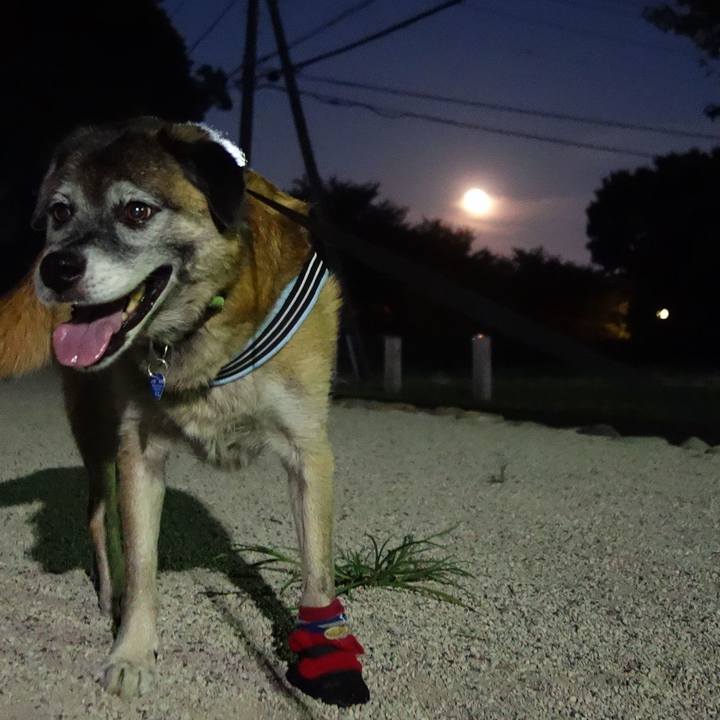 5555d1d8 436e 41fb a169 fc2b1a1a27ae 1535281276020