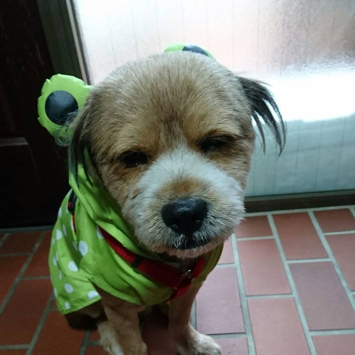 5555ea99 3fae 4c61 ba47 849a8a79651d 1529399710493