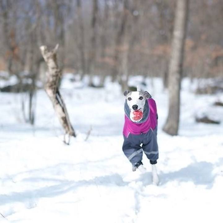 5555f95b 3a2e 40e9 bad8 be38adc58f88 1519390926938