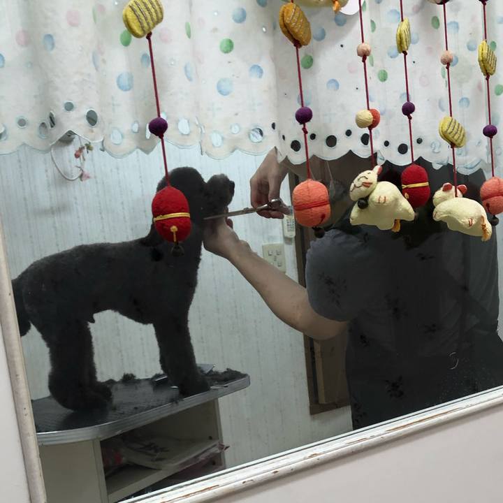 5555fe97 e6bd 4b6f 866e b82bf029e451 1603351472849