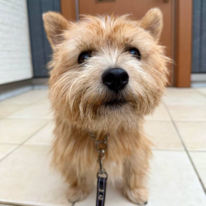 5556596c 5dbc 4ae6 a010 fb2dd23ecefb 1762665157991