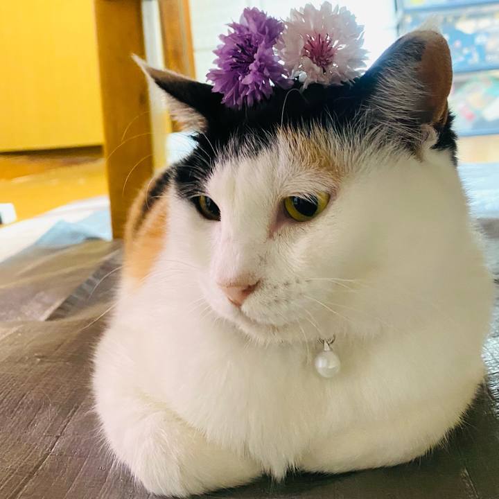 5556879f 17fd 45fc 9492 02cc431e32f4 1653736105978