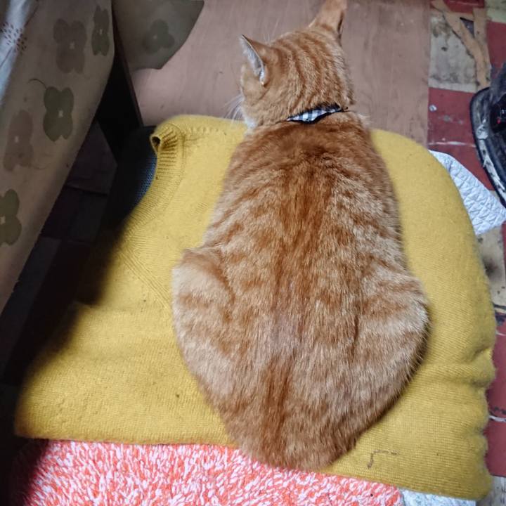 5556d2bd 2761 421b 8b9a 4f22904317c5 1570653364248