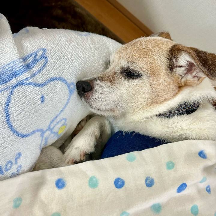 555757cd fde3 4d75 94ae cbfab7cfb07c 1715595002542