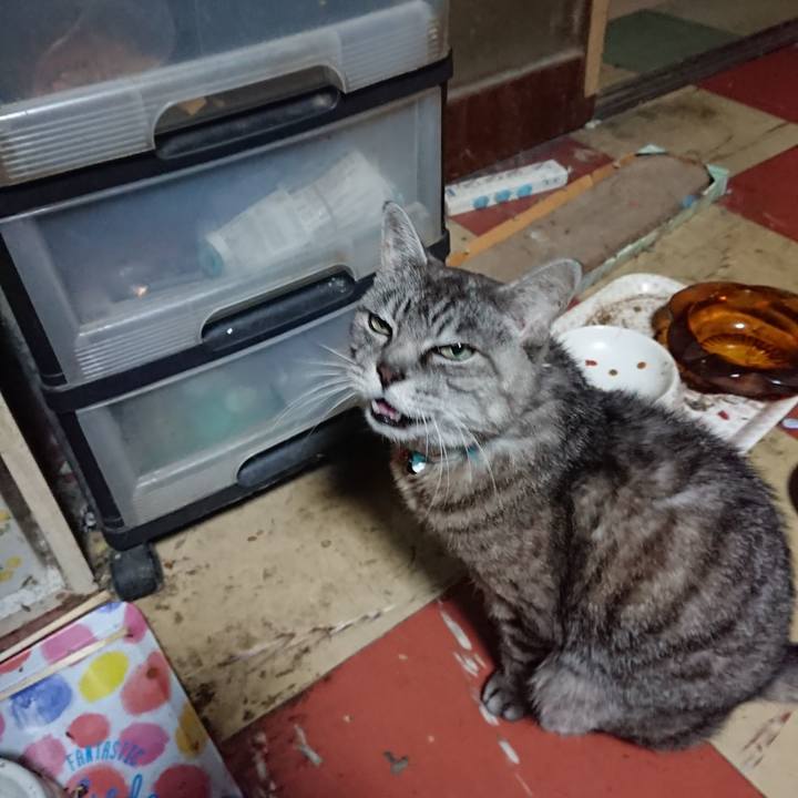 5557580e 2647 4c1a af96 e63b28557df9 1568403815752