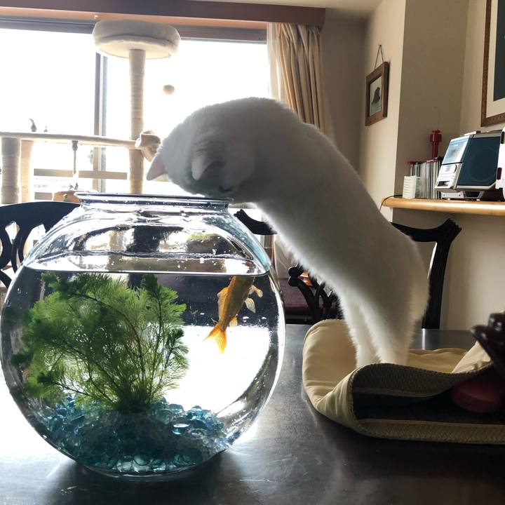 55575940 0805 4d48 b068 924a985dbdc0 1551322761614