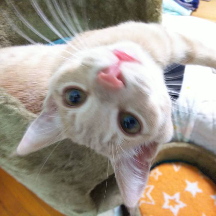 55578f1b 322b 4a07 92e4 331be9f6bb72 1542967488416