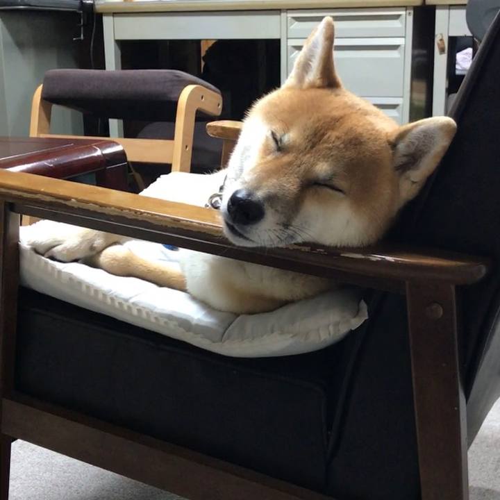 5557a6c8 d410 4152 b0d8 fc6e302de07a 1513678820170