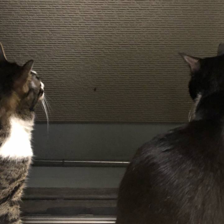 5557b054 c828 4e38 90a3 23c3570f1454 1562029345383