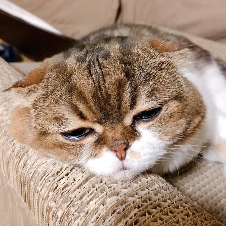 5557da19 8d8a 4287 9dd5 07b52c5efa1a 1567004380547