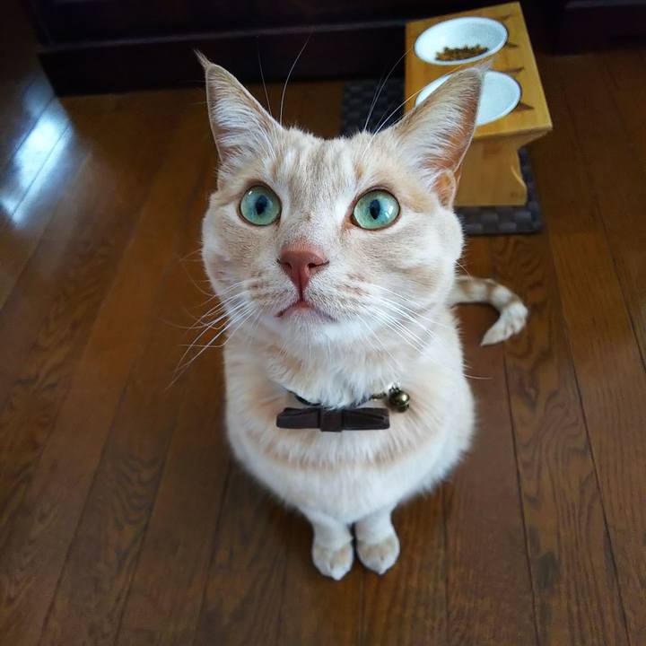 5557f79a 884e 4058 bc3f 92dc5cb9af31 1643155521469