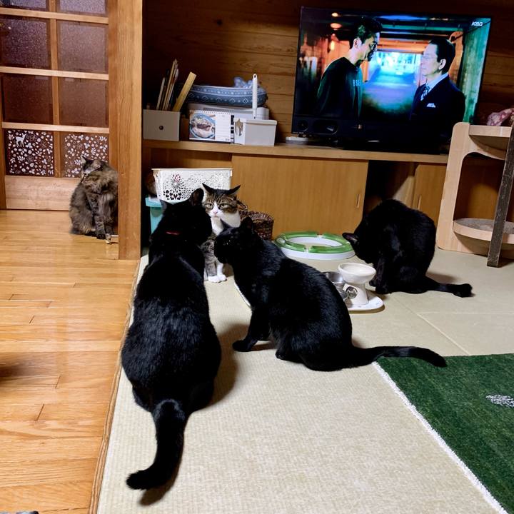 5557f814 647c 4e43 bf15 30a4573b6ebe 1666787934449