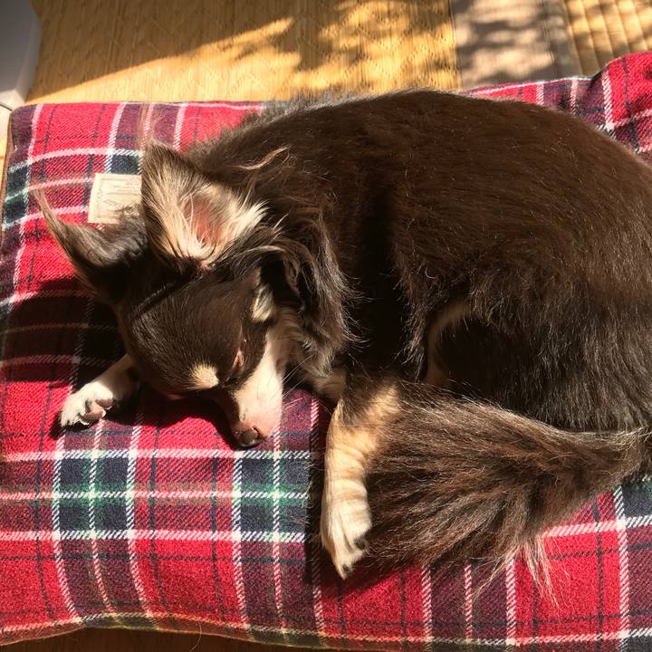 5557fb2e 5cf1 4051 9619 b6d1cd5bcc7e 1518835660407