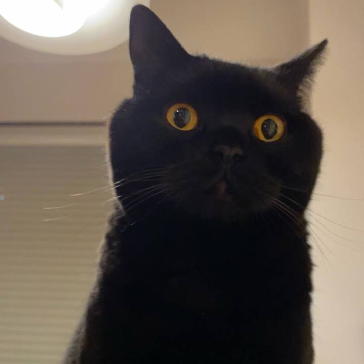 55580d9f 0274 4529 b934 6cbef5e66497 1613222390835