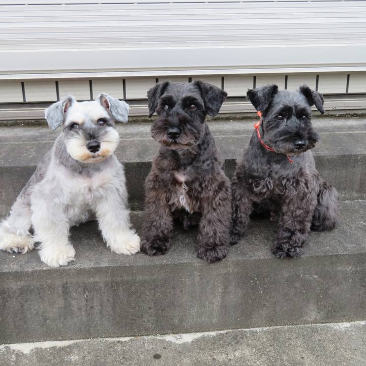 5558166c 2ada 4bbe a0f2 bafeccd76792 1602397153530