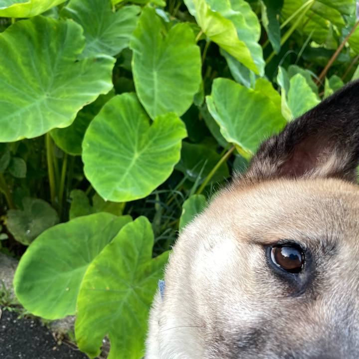 55582ee8 e941 4863 8718 c396f09dd85a 1721391675029