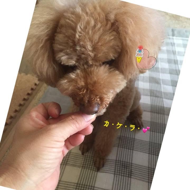 5558553e 709d 4655 8b7c 9ae697183692 1533710954216