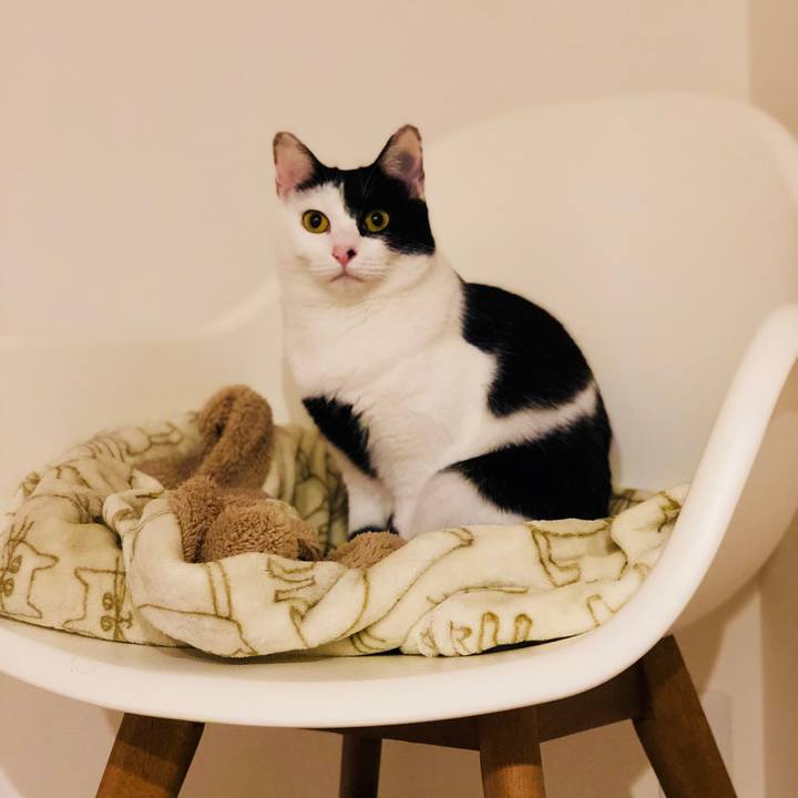 55585b12 0921 4552 9afe ed6df2019e6e 1546764332516