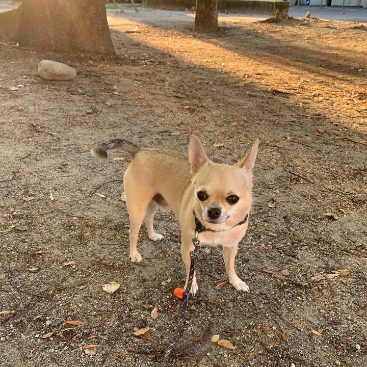 5558920b f772 4ae9 882d ac211d595d6d 1569315002256