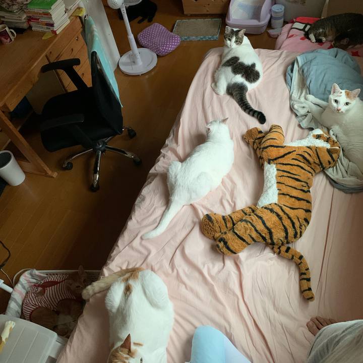 5558c323 5cd2 4996 9d1d a5e05dfc8e30 1592430922684