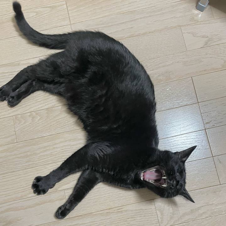 5558d949 470c 441c 8605 b2fd112b89f4 1673689314180