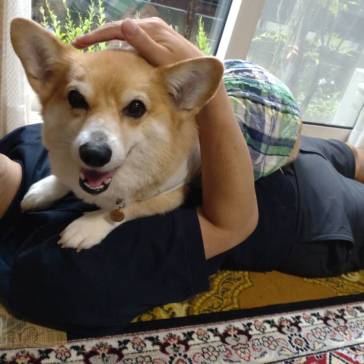 55593f03 6ff0 47d9 a608 a5fb722d43b5 1692194607407