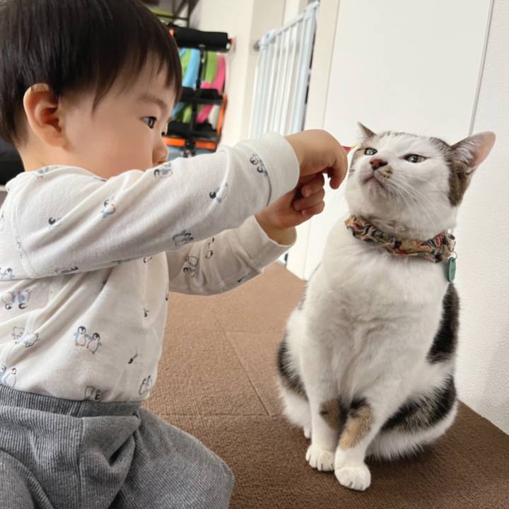 555948a4 9e06 4a21 b105 cf545fe58044 1636428164429