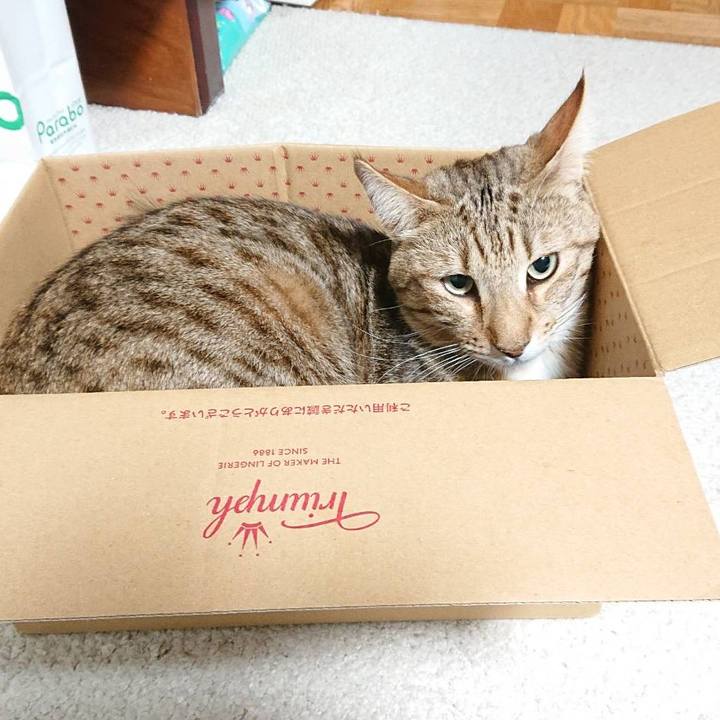 55599fbd 6581 476b ac9c 0c638015bbac 1613387231211