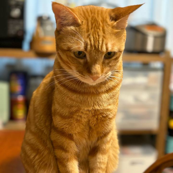 5559aec3 4976 483f a6da 33d4bddcbc93 1754286492654