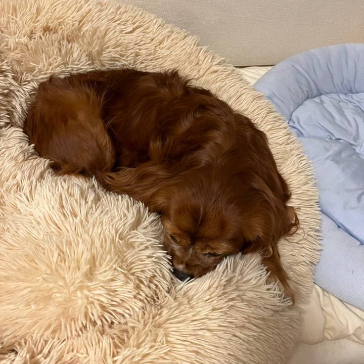 5559b784 d238 4f1c a0e8 9b1b53cf8859 1665275012363