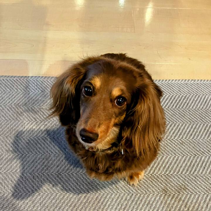 5559bfc7 c624 4969 9422 85ce6cb78cb1 1728300824840