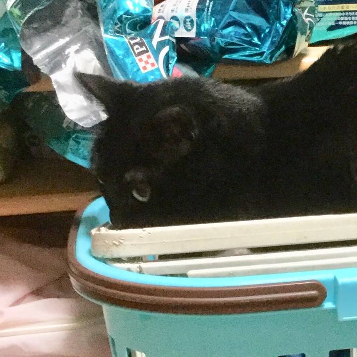 555a3e96 8c7f 4337 8b9a de4fe5e4cbd0 1561024272289