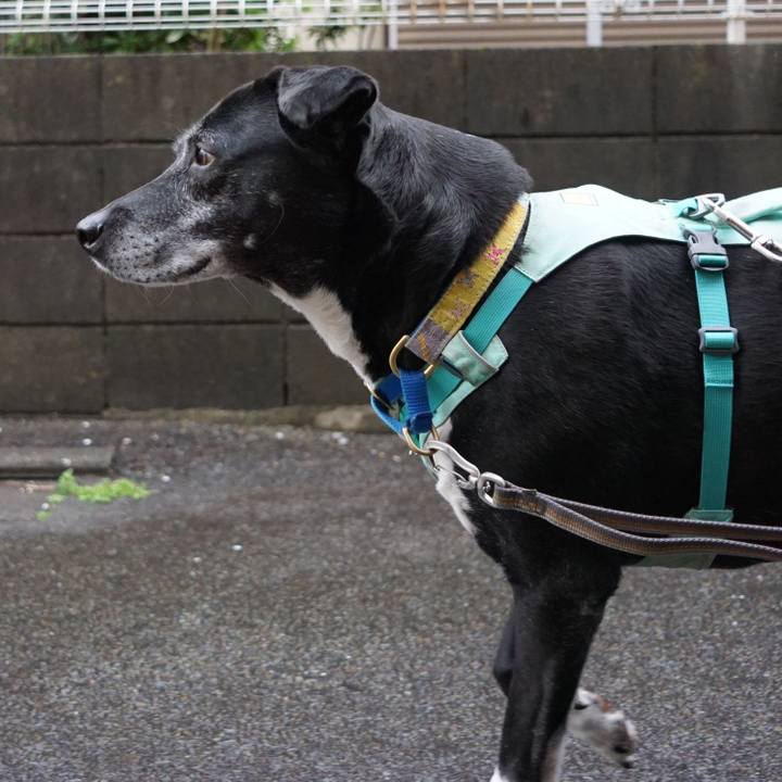 555a6e6e bf81 48a8 98f1 c64d734baee8 1772581423129