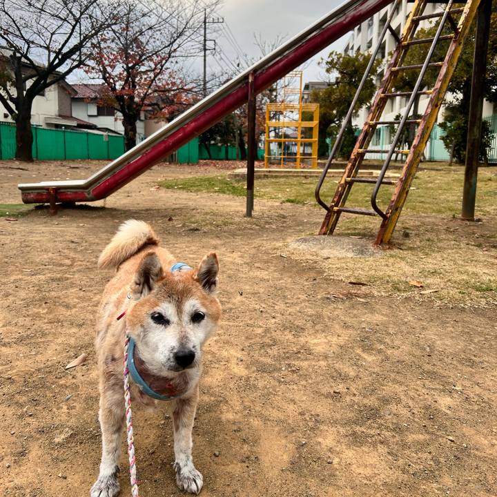 555a7d7d 41d9 4dee ade7 69ded3f9d318 1764227603443