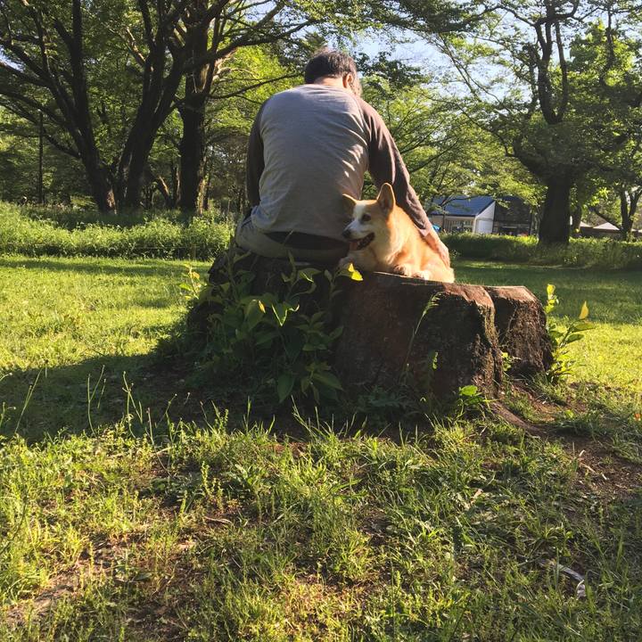 555ab95a ee7a 4238 b087 384e5e727eca 1557135172849