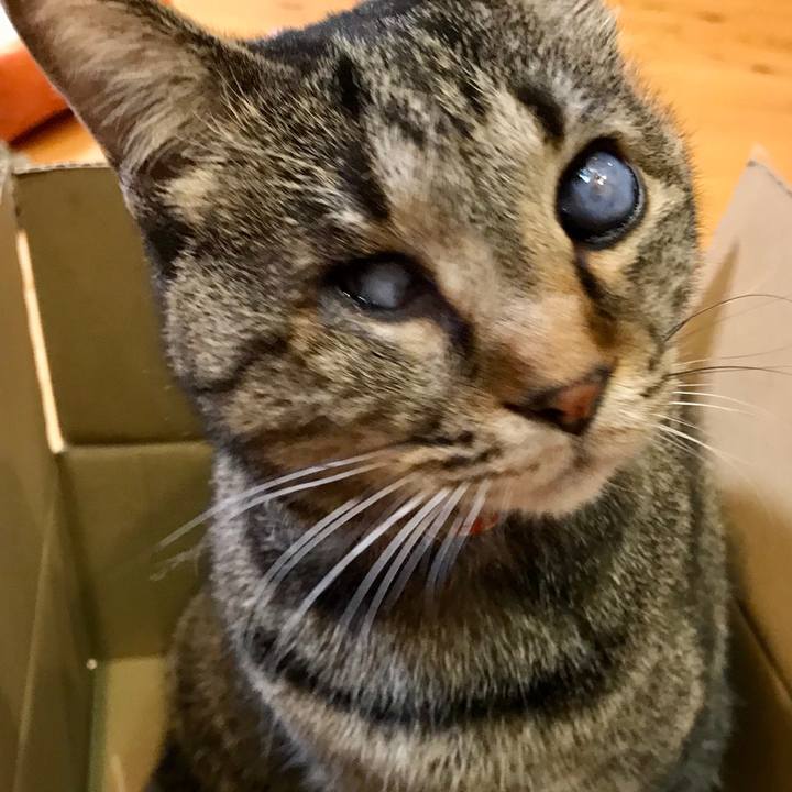 555abc06 4f52 44dd 829c e69e2f1db83b 1587428781371