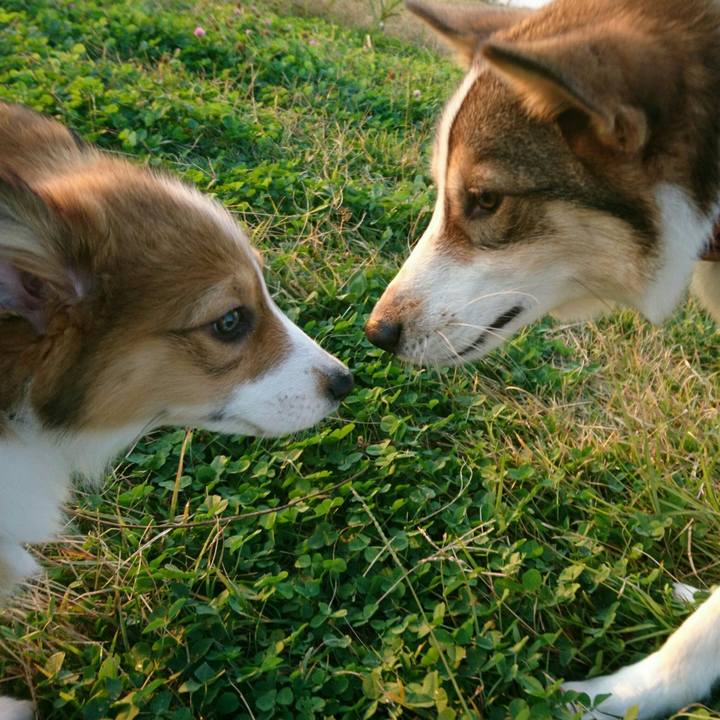 555ad781 e46b 48ea 83a7 0762f5daf263 1542547217678