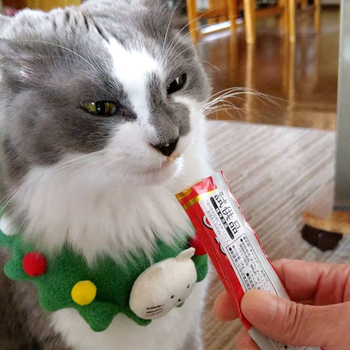 555b0401 1a5e 48a2 9d24 6d4d00084f4a 1606013712595