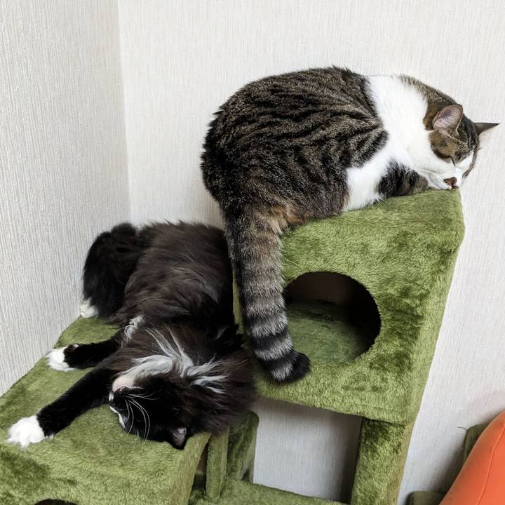 555b18b0 7af7 4f55 8a64 883bc392ae07 1690871088611