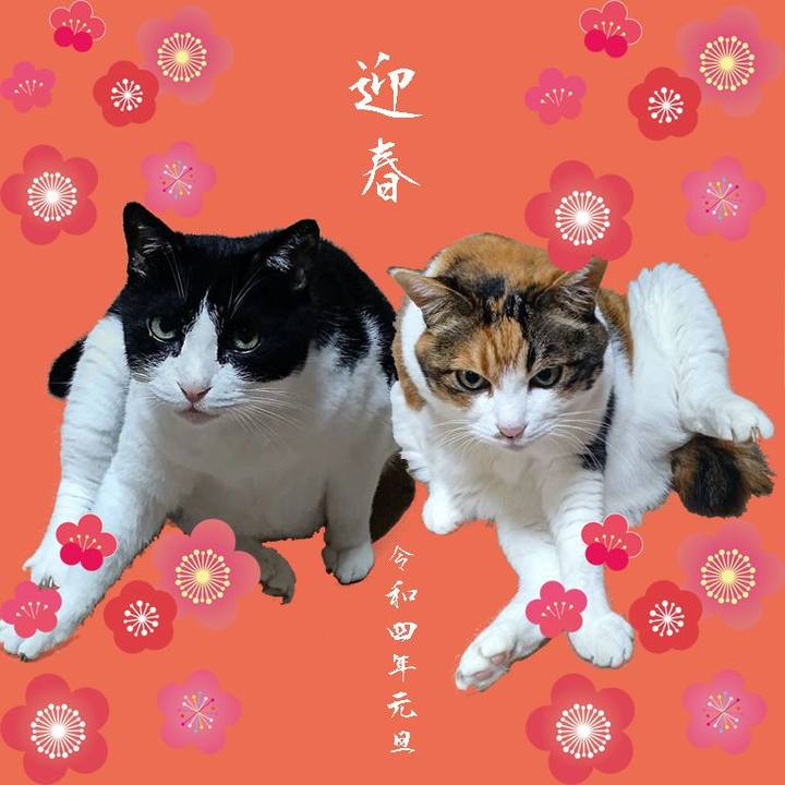 555b66ff 3172 413f b05c 4d6c5b8f101f 1641003164766