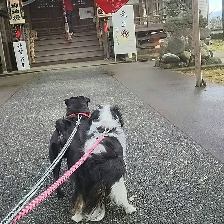 555b6cbe f554 40a0 8a59 e9d5c25c7f53 1546318402974