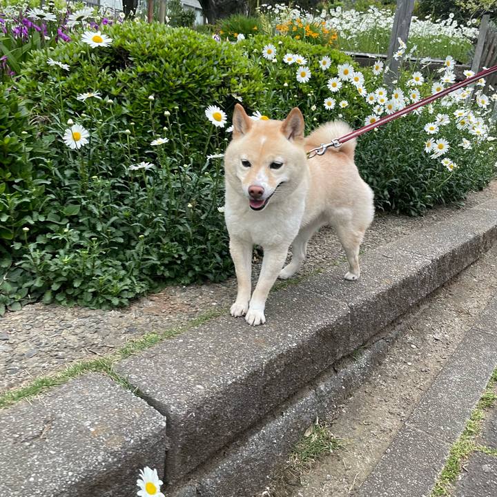 555b921f f0de 4ab4 800a 4ba705d18518 1682116069083