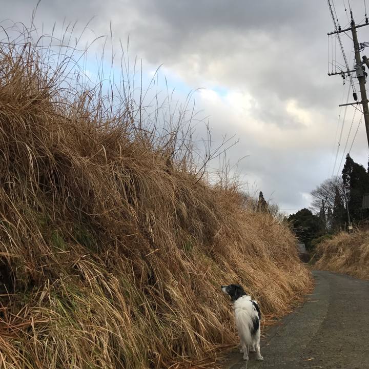 555bba1f 14c4 41a9 bc22 ff4070269c57 1519863791139