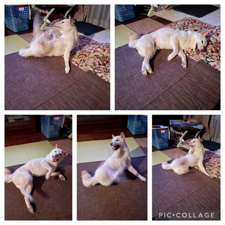 555bbe8b 084e 4d01 a59f db1f699601da 1658244481581