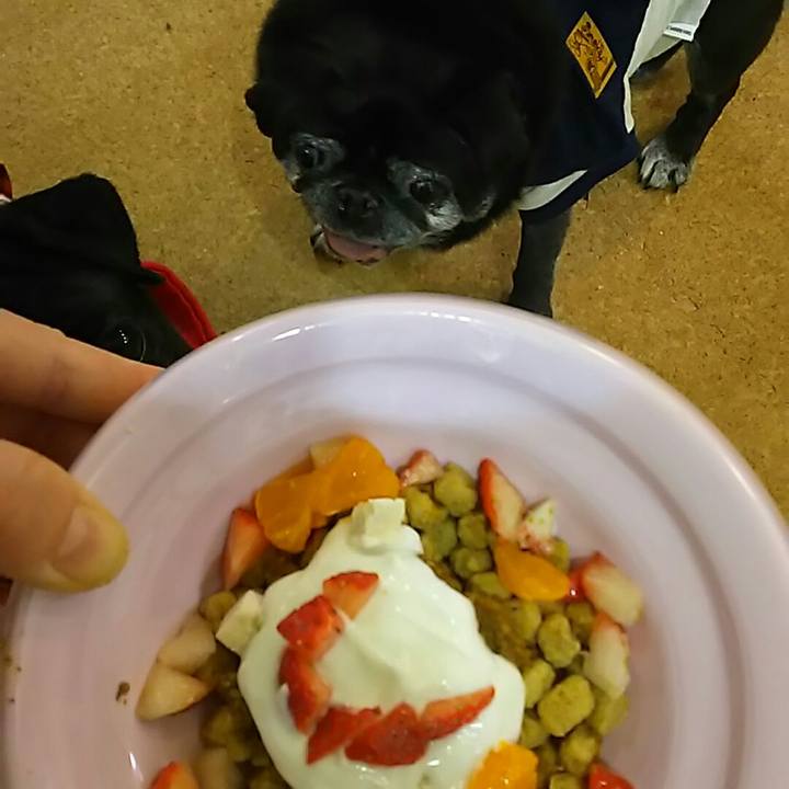 555bc931 6174 4284 8d6a f5e800d44804 1546778347200