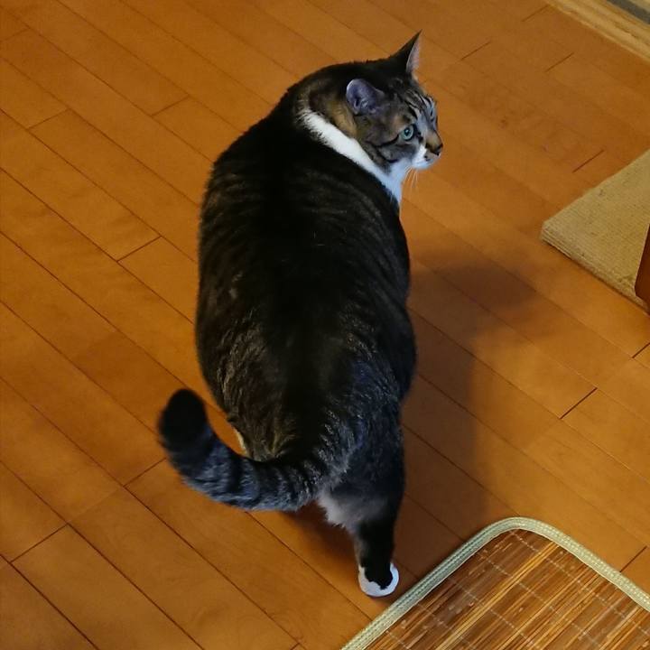 555c1880 4ab9 44e0 a171 8683ed611f61 1537482511743