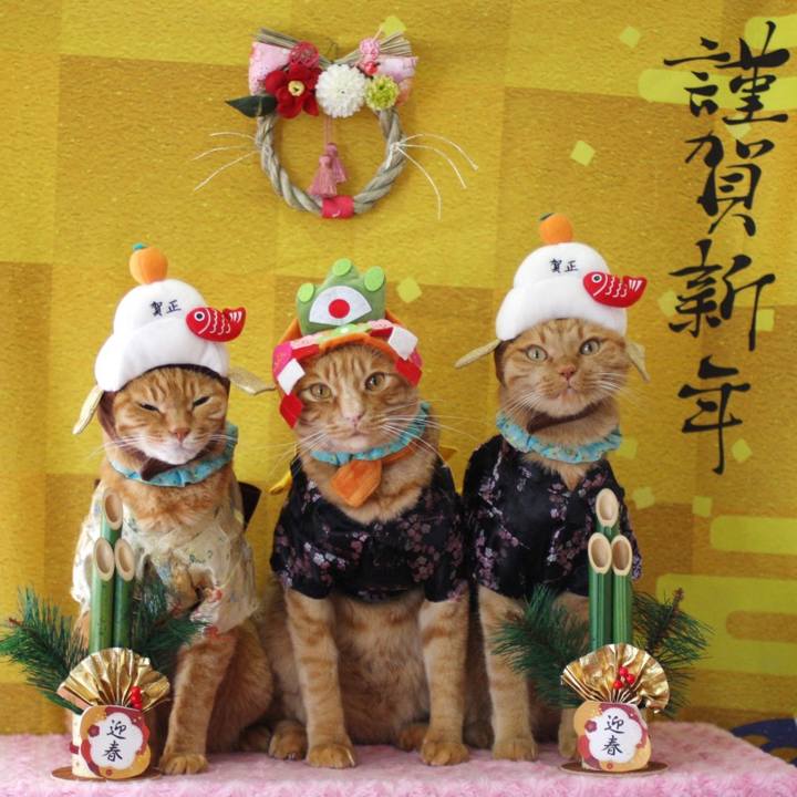 555c26f8 d1bc 4789 9c4a 1b0845afe7d8 1767272889938