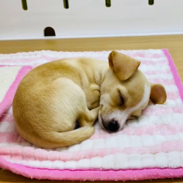 555c50d2 f3a7 45f2 b848 9b831533eed1 1692408373619